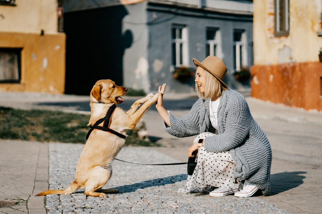 Donna Uomo Bambini Animali